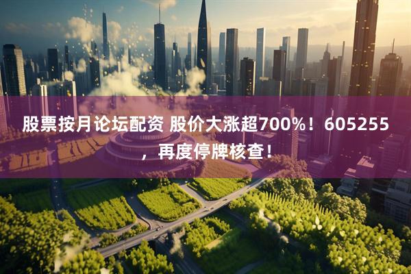 股票按月论坛配资 股价大涨超700%！605255，再度停牌核查！