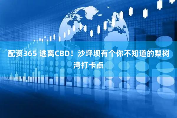 配资365 逃离CBD！沙坪坝有个你不知道的梨树湾打卡点